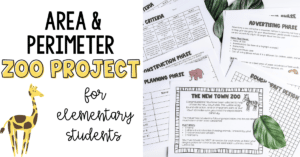 project-based learning area and perimeter zoo
